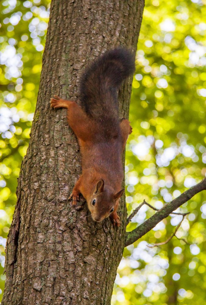 Photograph by Воробьева Людмила