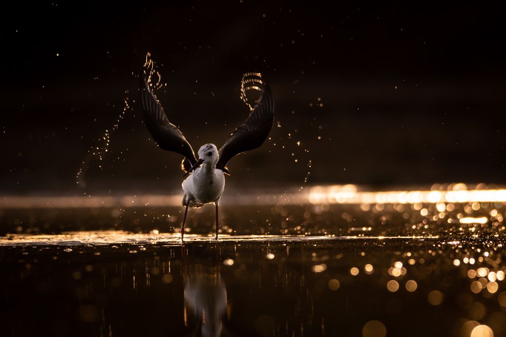 Photograph by Алёна Газукина