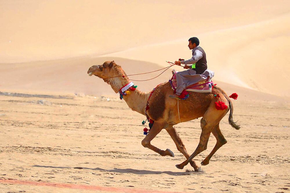 Photograph by karimi souderjani mahdi