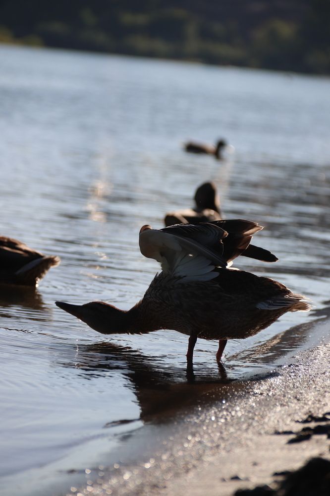 Фотография автора Лилия Хохлова