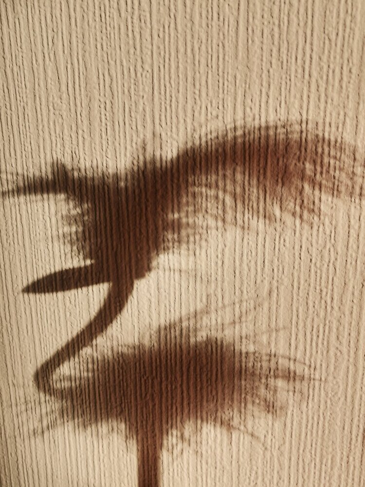 Photograph by Мария Клабукова