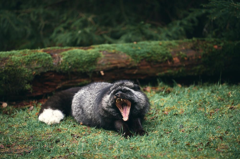 Photograph by Natalie Liedtke