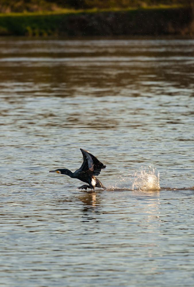 Photograph by Marko Župan