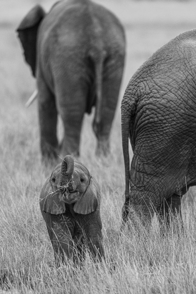 Photograph by Nikolay Slutskiy