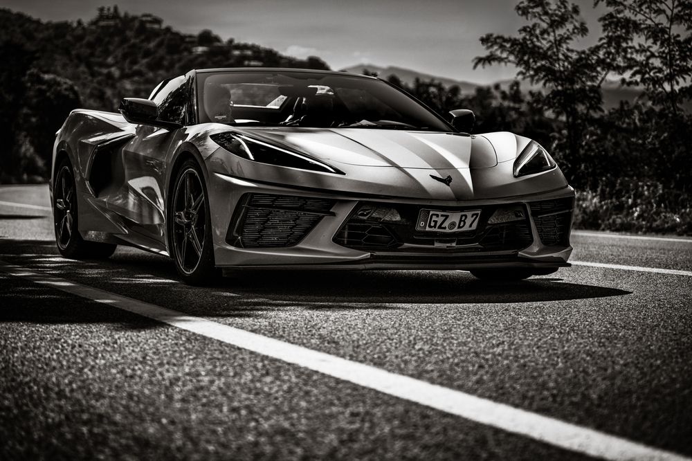 Photograph by Sara Jazbar