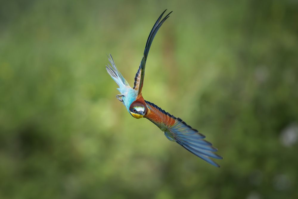 Photograph by Sara Jazbar