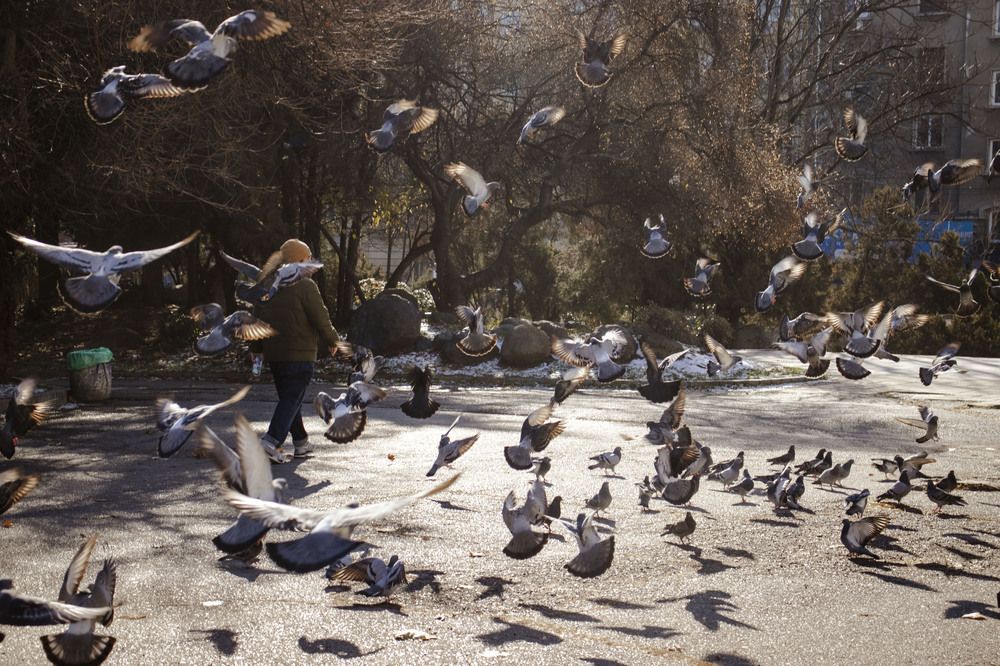 Photograph by Anna Gancheva