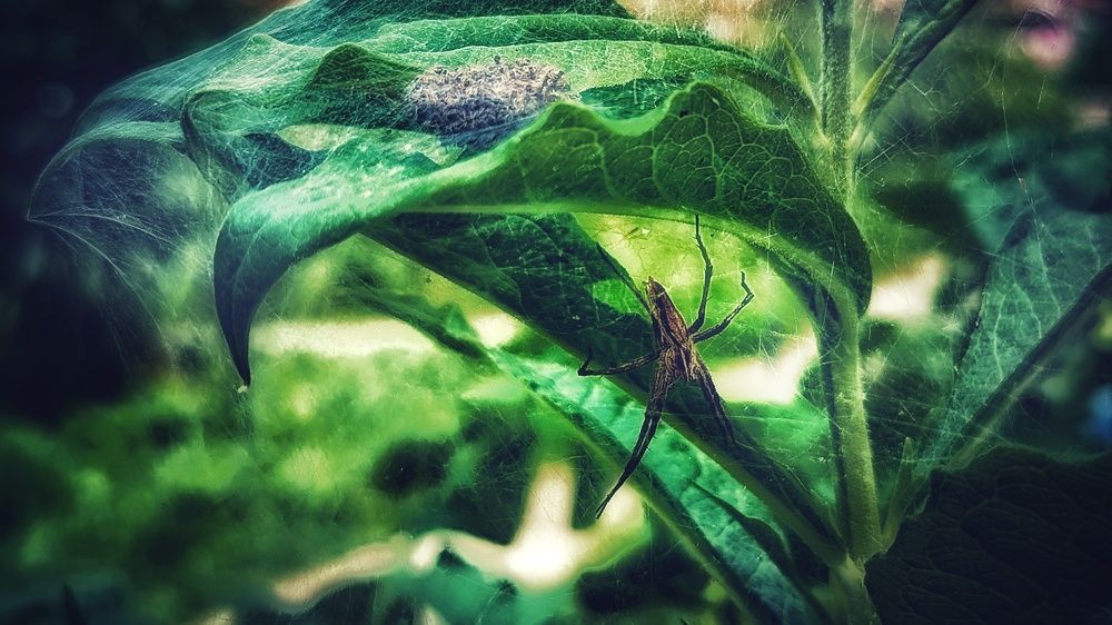 Photograph by Ирина Багдасарова