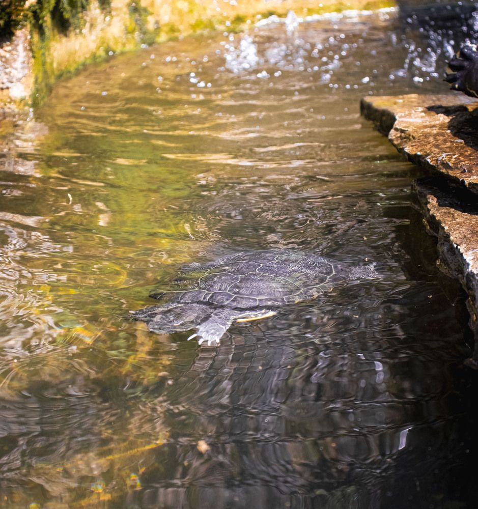 Photograph by Anna Gancheva