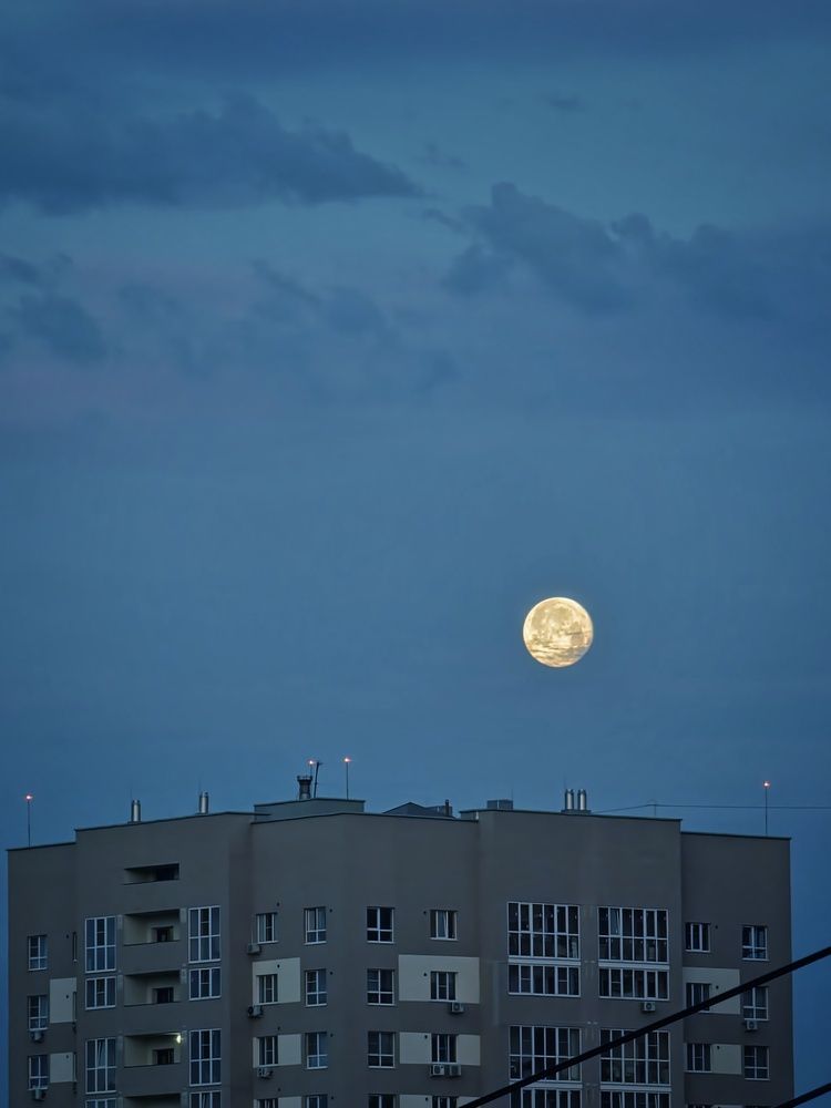 Photograph by Алена Самошина