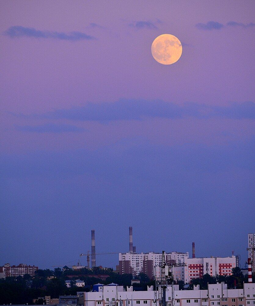 Photograph by Алена Самошина