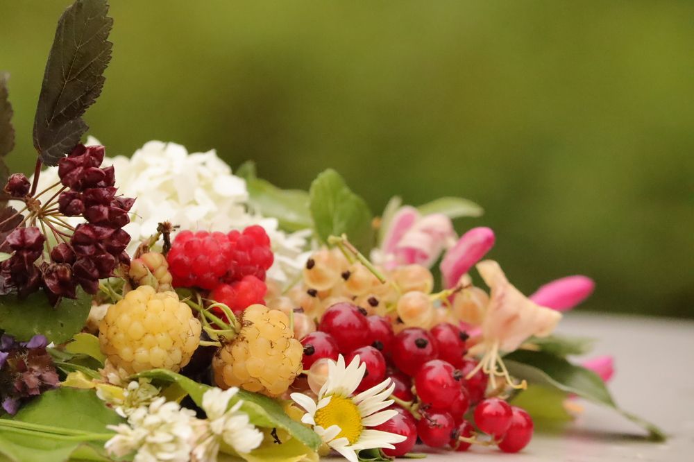 Photograph by Екатерина Александровна