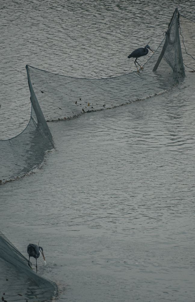 Photograph by Farshad Yazdankhah