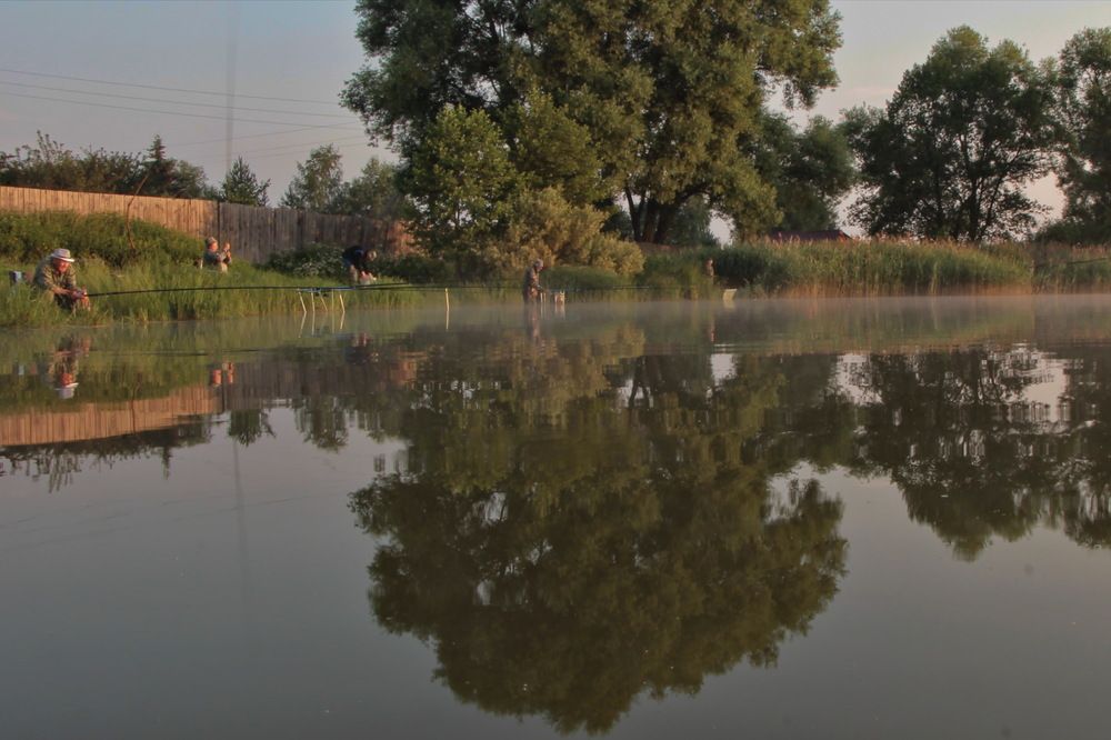 Фотография автора Анатолий Борисов