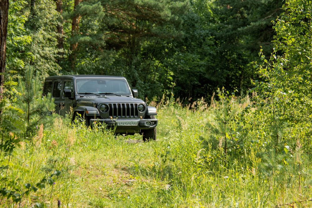 Фотография автора  Мария