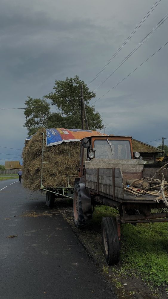 Фотография автора Natalia Nikolaeva