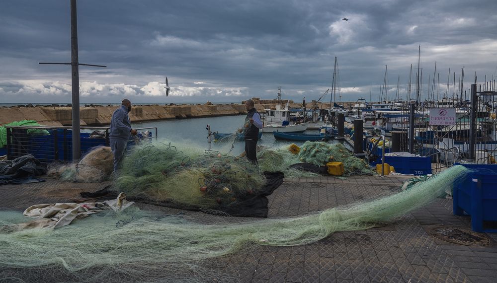 Photograph by Stanislav Kadishes