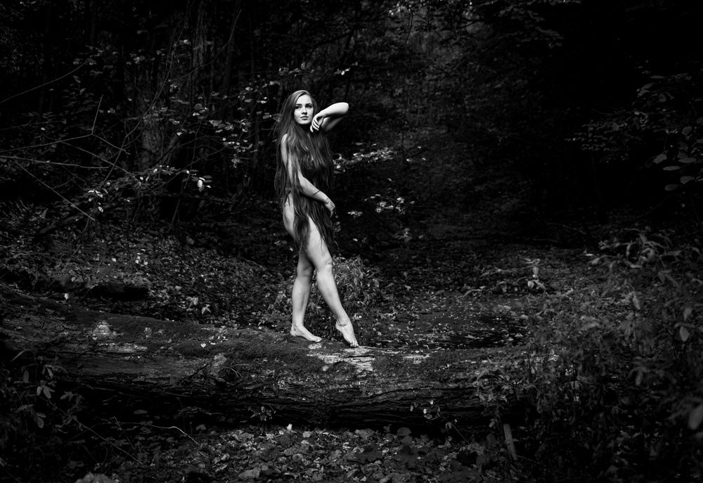 Фотография автора Михаил Назаров