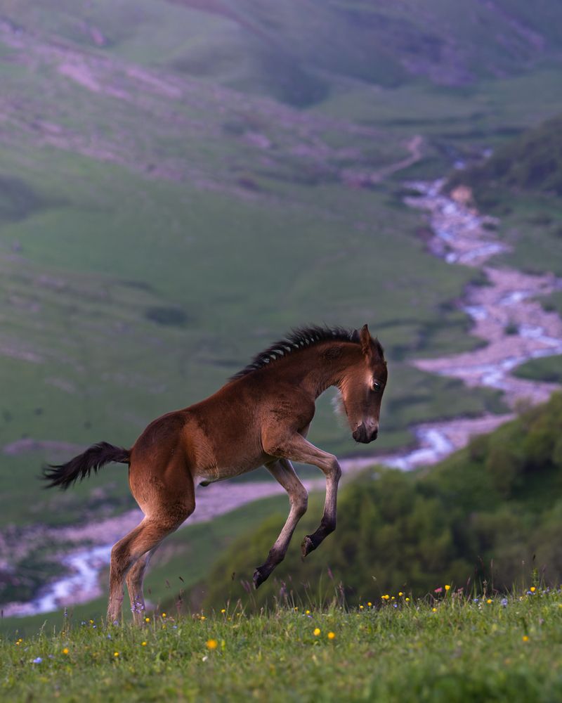 Photograph by Фабричный Роман