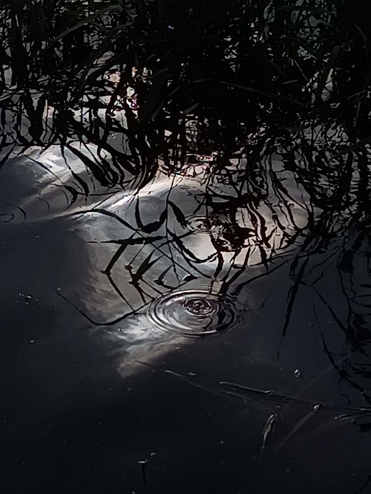 Photograph by Анна Лернер