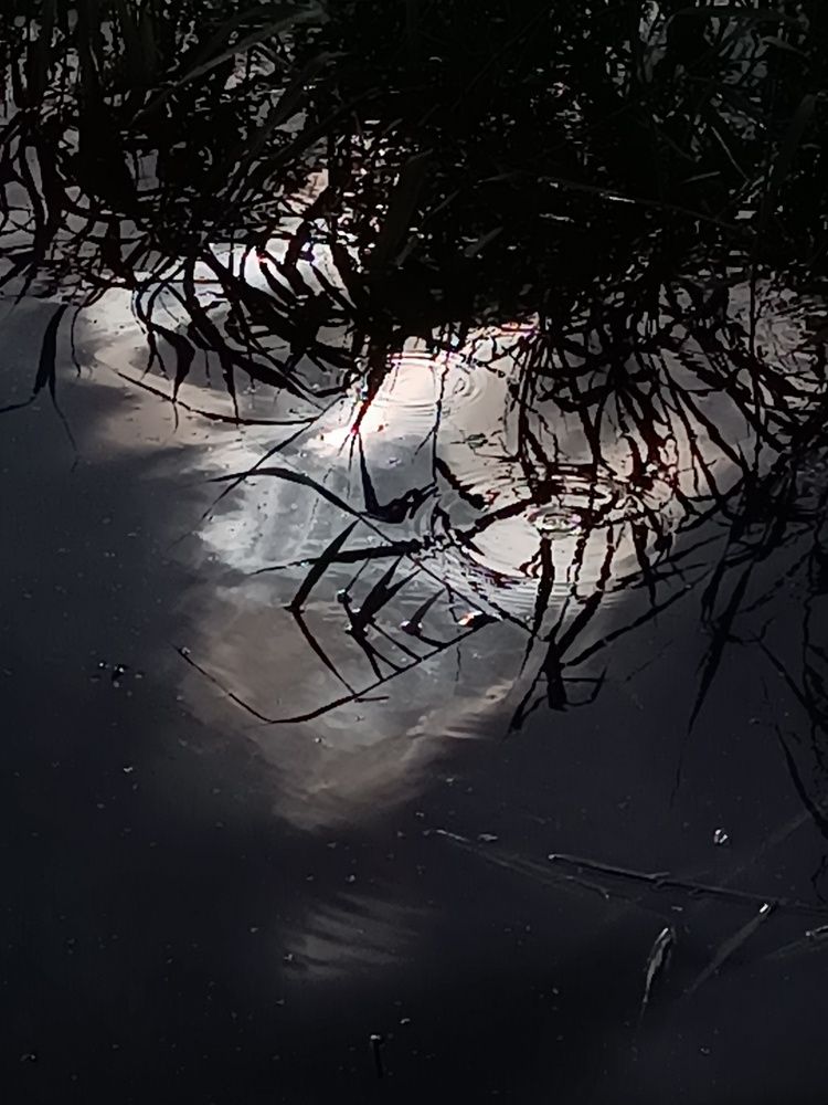 Photograph by Анна Лернер