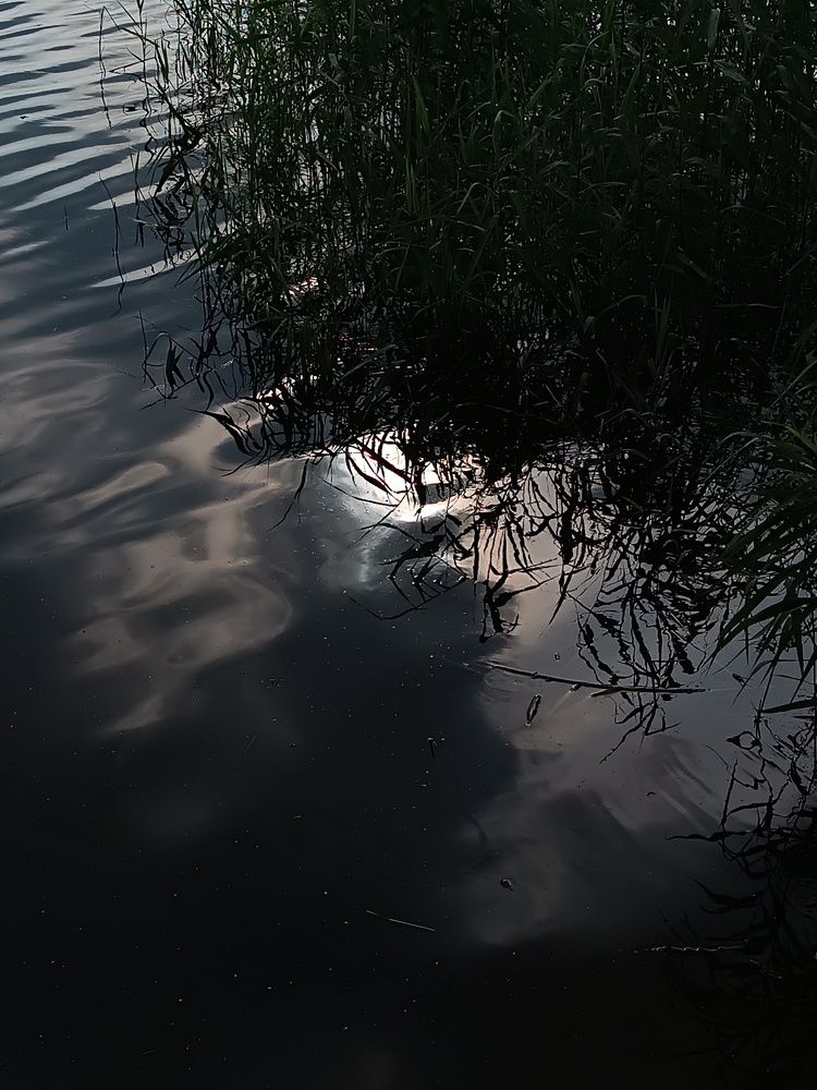 Photograph by Анна Лернер