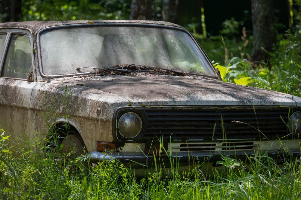 Photograph by Константин Пухов