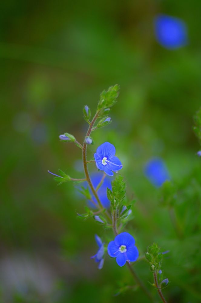 Photograph by Дмитрий Жуков