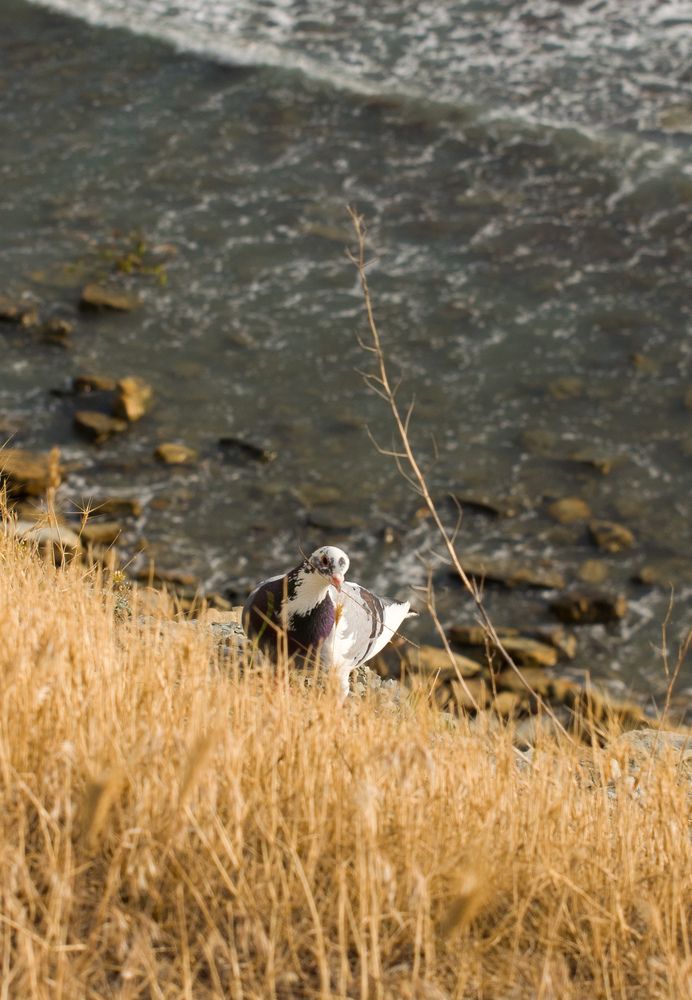 Photograph by Евгений Королев