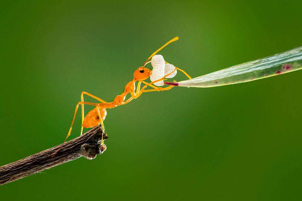 Photograph by Tinh Dang thanh