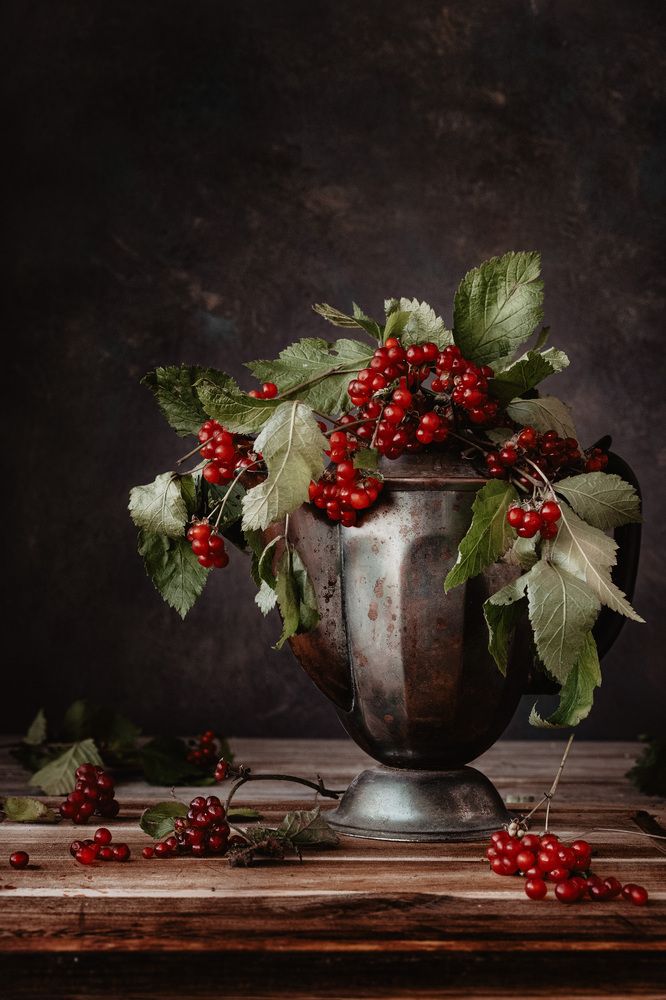 Photograph by Наталья Горохова