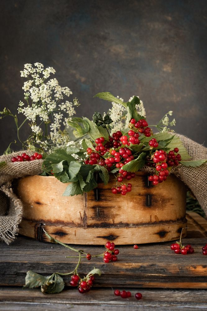 Photograph by Наталья Горохова