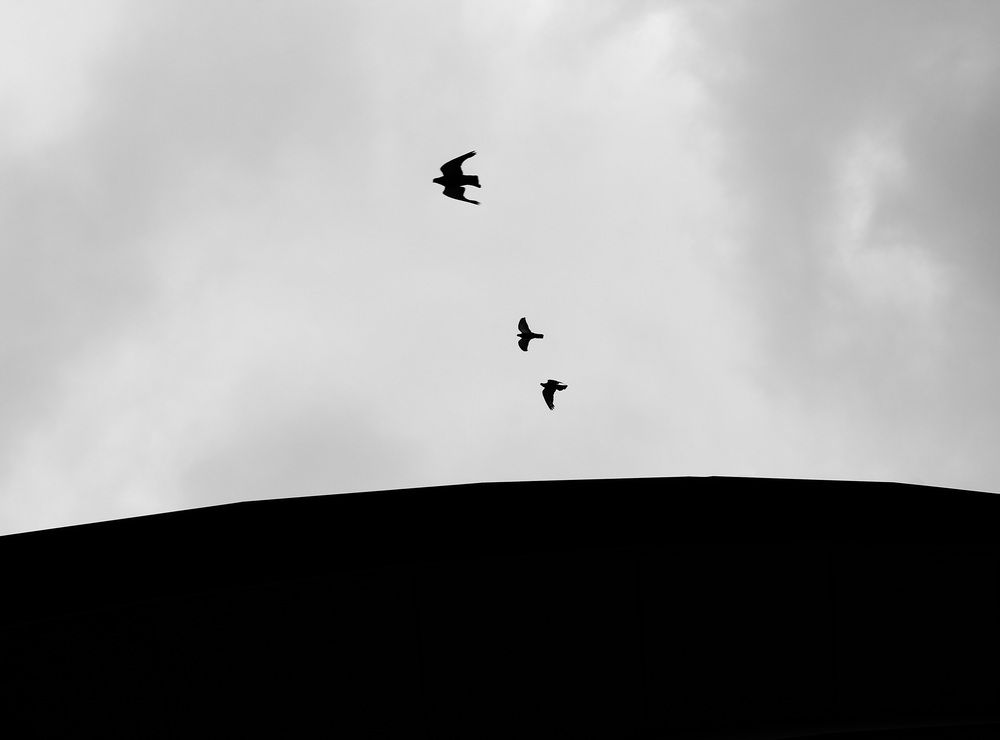 Photograph by Mark Litvak