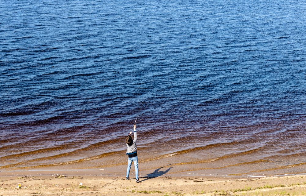 Сама, всё сама...