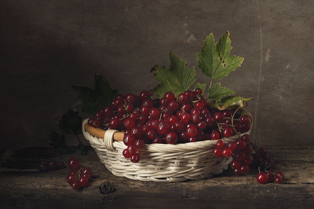 Photograph by Максим Вышарь