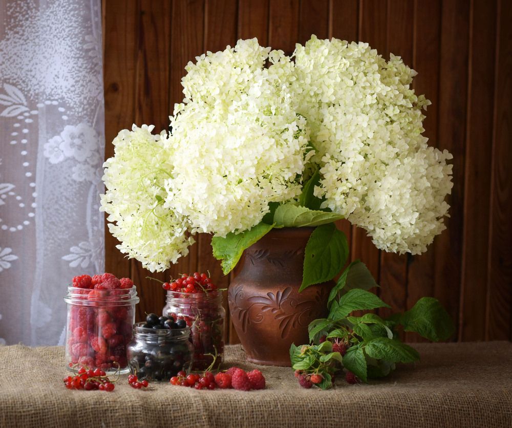 Photograph by Ирина Ефимова