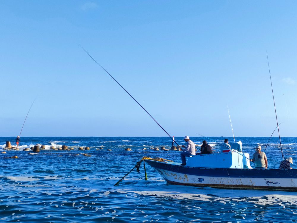 Фотография автора Sara Attia