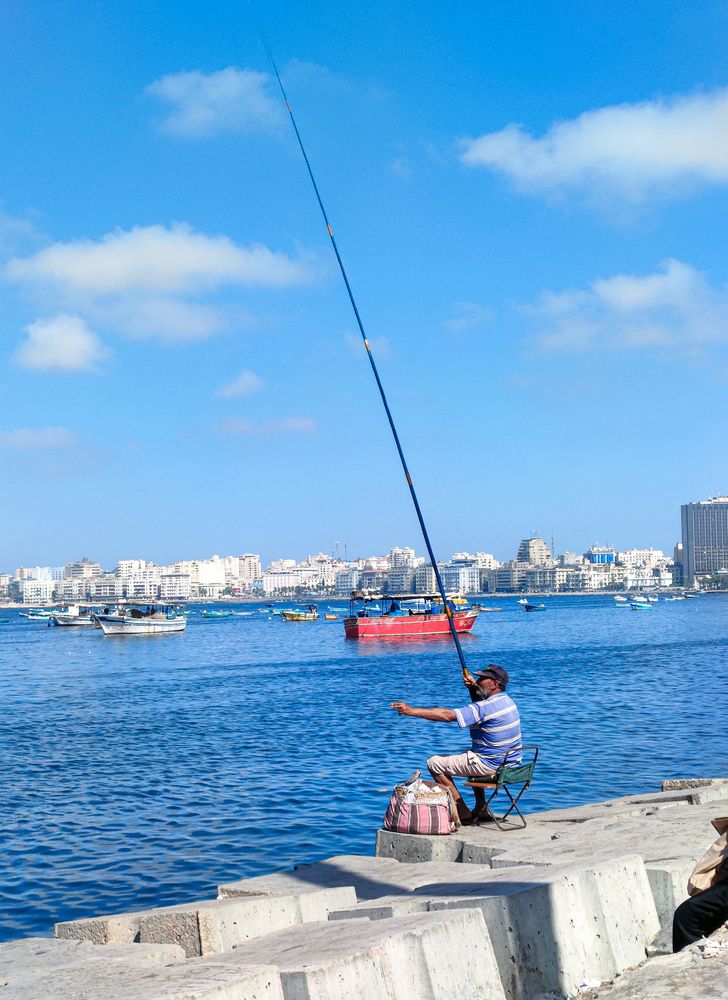 Фотография автора Sara Attia