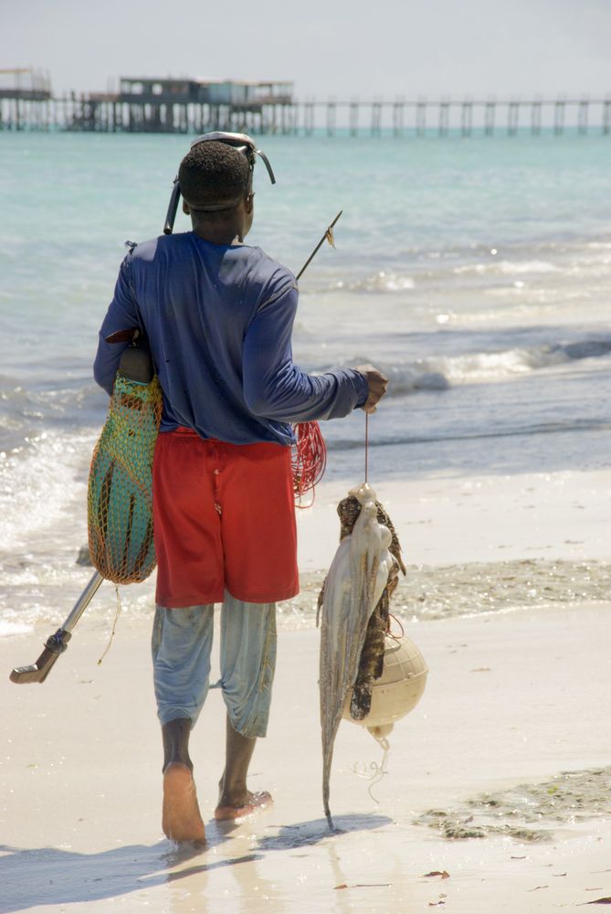 Фотография автора Дмитрий