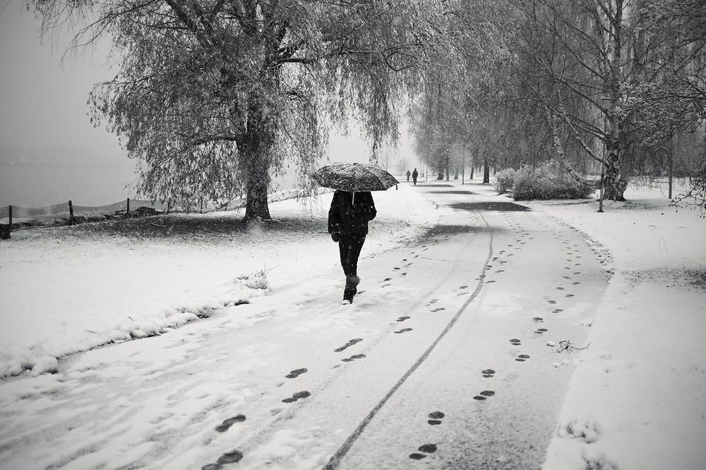 Photograph by Sergei Kuisma