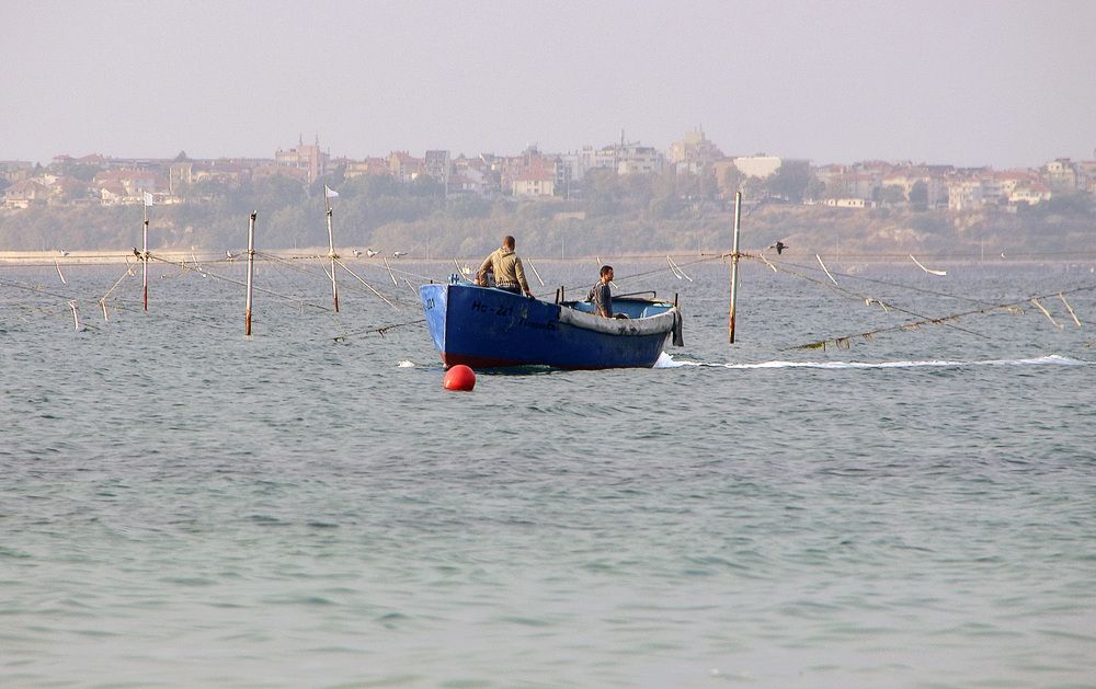 Фотография автора Александр