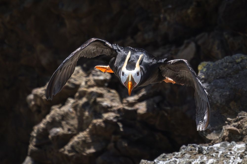 Фотография автора Герасименко Римма