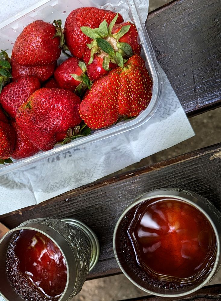 Photograph by Marina Razheva