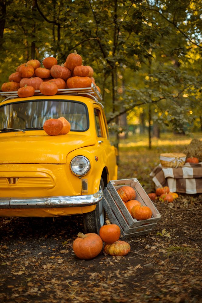 Photograph by Зверева Мария