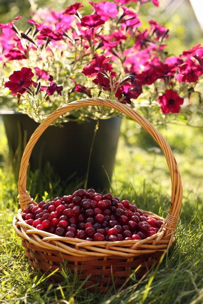 Photograph by Валерия Романова