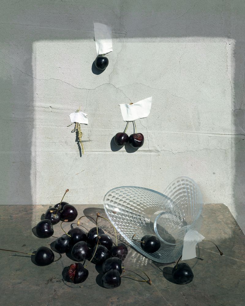 Фотография автора Светлана Громова