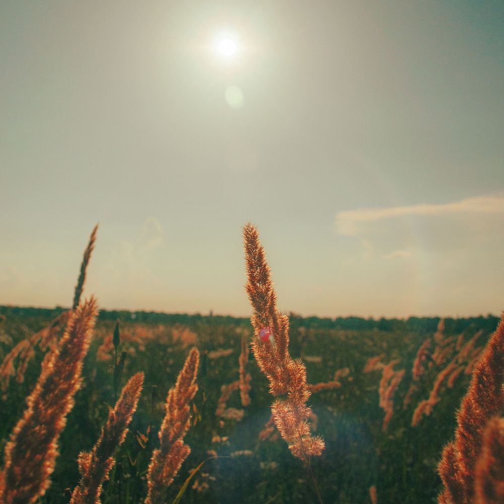 Photograph by alex.a3397