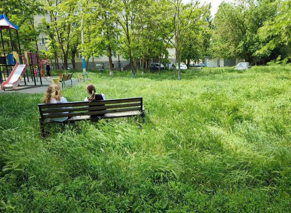 Photograph by Сергей Христинич