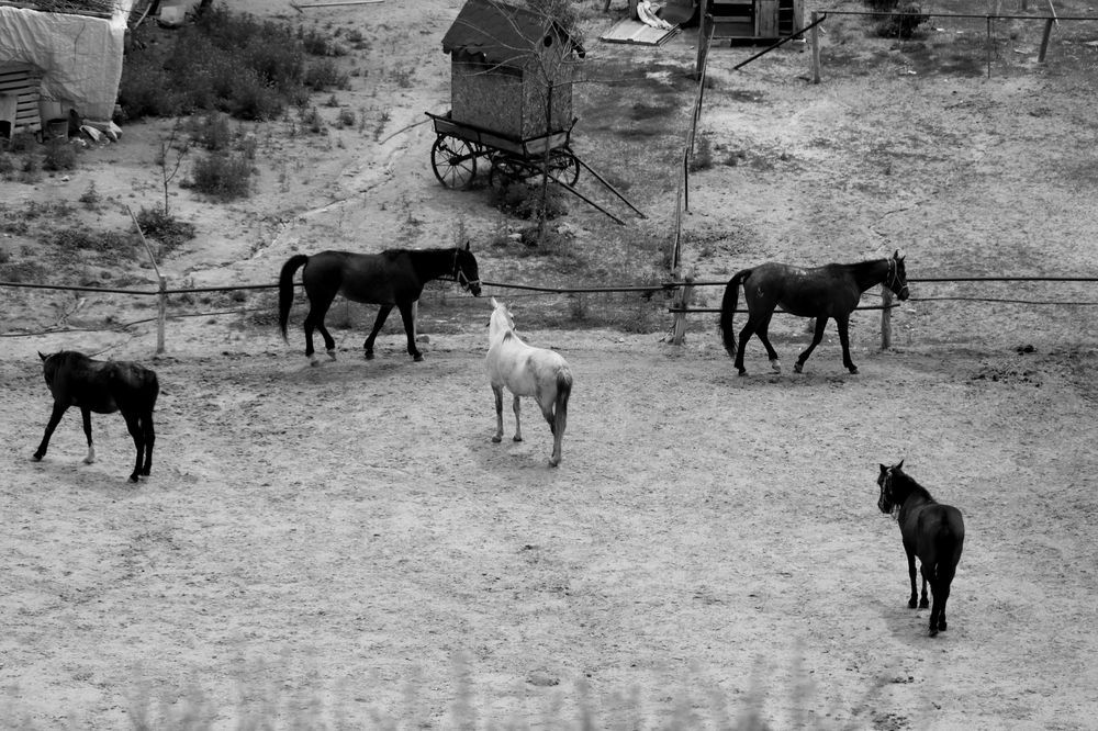 Photograph by Ernest Spiteri Gonzi