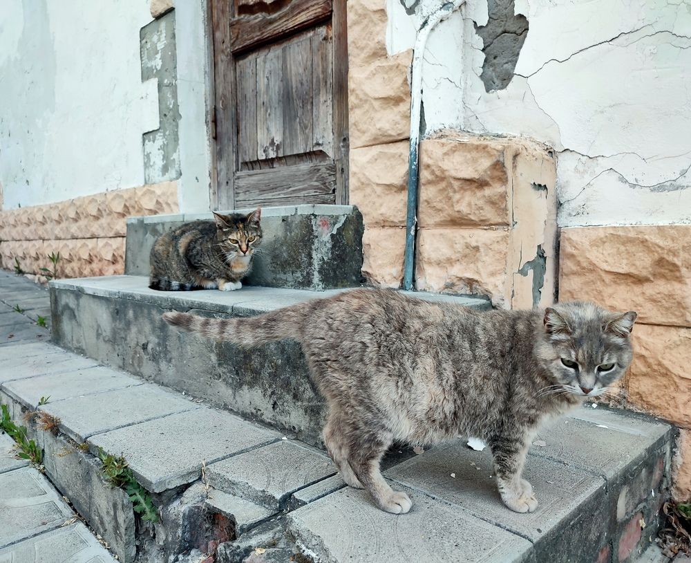 Photograph by Сергей Христинич